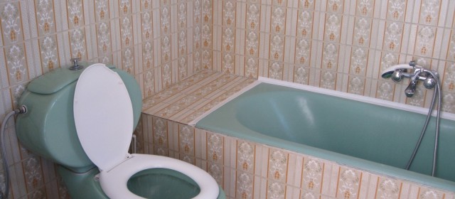 The Main Bathroom & Toilet of the Villa