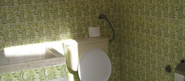 The Second Toilet of the Villa